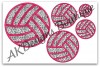 All 5 volleyballs included in this set.